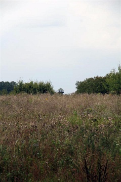 0085 Near Eichenberg Sept 2010 (Large) copy